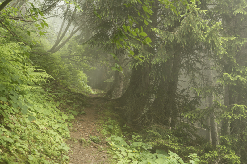 collections des photos des paysages