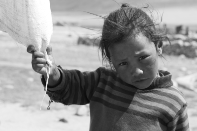 Les enfants nomades du Ladakh